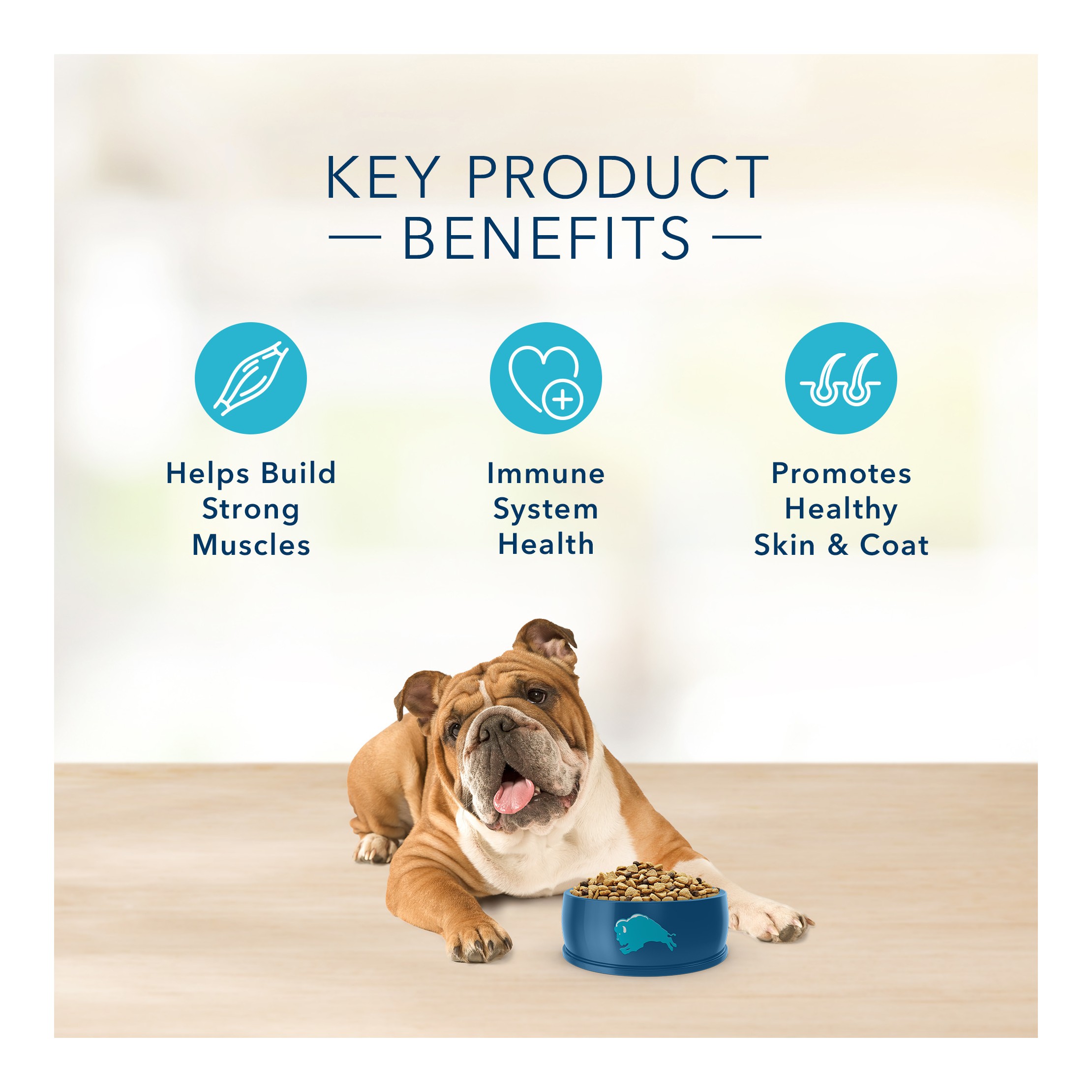 Basics Skin & Stomach Care Natural Adult Dry Dog Food with Turkey & Potato - 11lbs