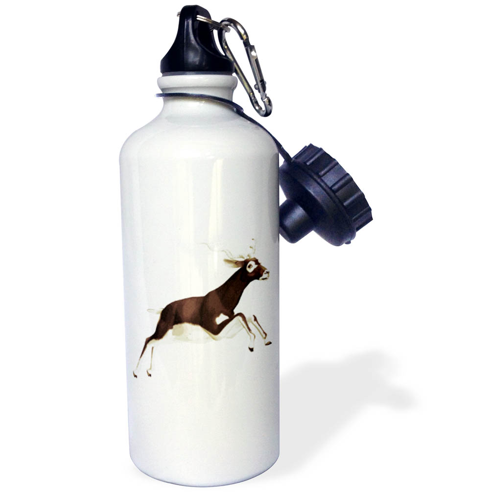 3dRose Black Buck Antelope, Sports Water Bottle, 21oz