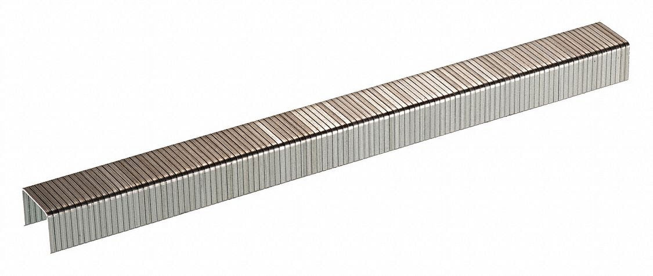 Senco Staples,20 ga.,3/8 in. L,PK24000  F06BAAP