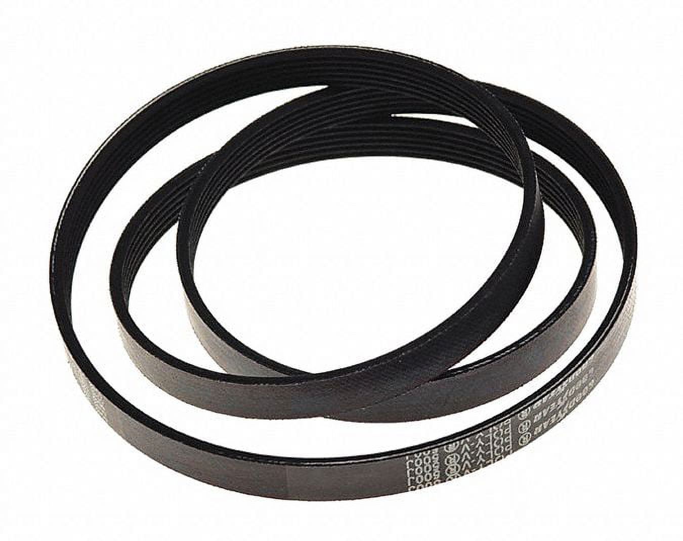 Campbell Hausfeld Poly V Belt 50