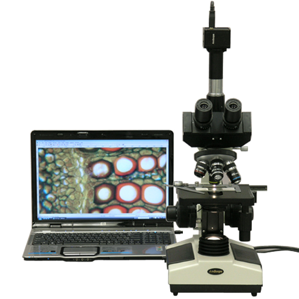 AmScope 40X-1600X Doctor Veterinary Clinic Biological Compound Microscope + 10MP Camera New