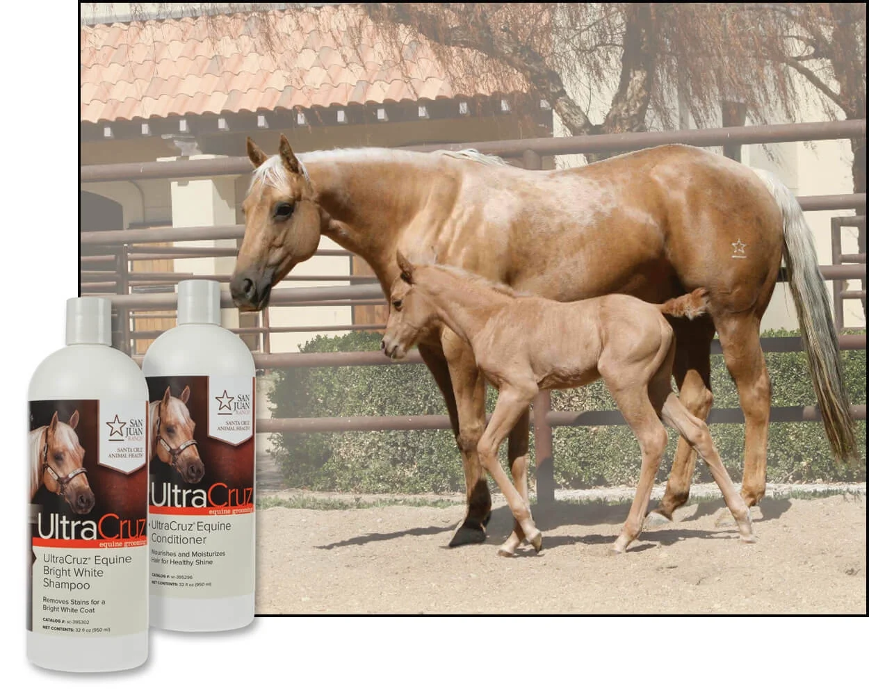 UltraCruz Equine Bright White Horse Shampoo and Conditioner Bundle, 32 oz each