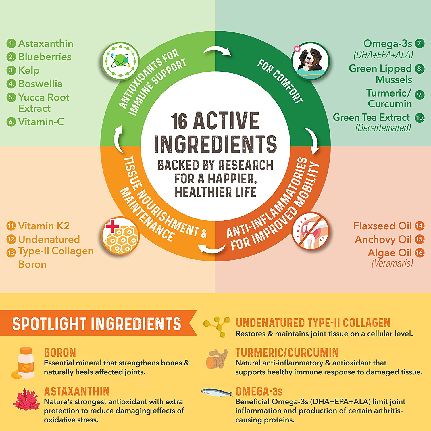 Bernie's Healthy Hips - Daily Dog Hip and Joint Supplement - 90 Soft Chews - Reduce Pain, Encourage Mobility, Slow Damage, Repair and Rebuild Hips and Joint Tissues