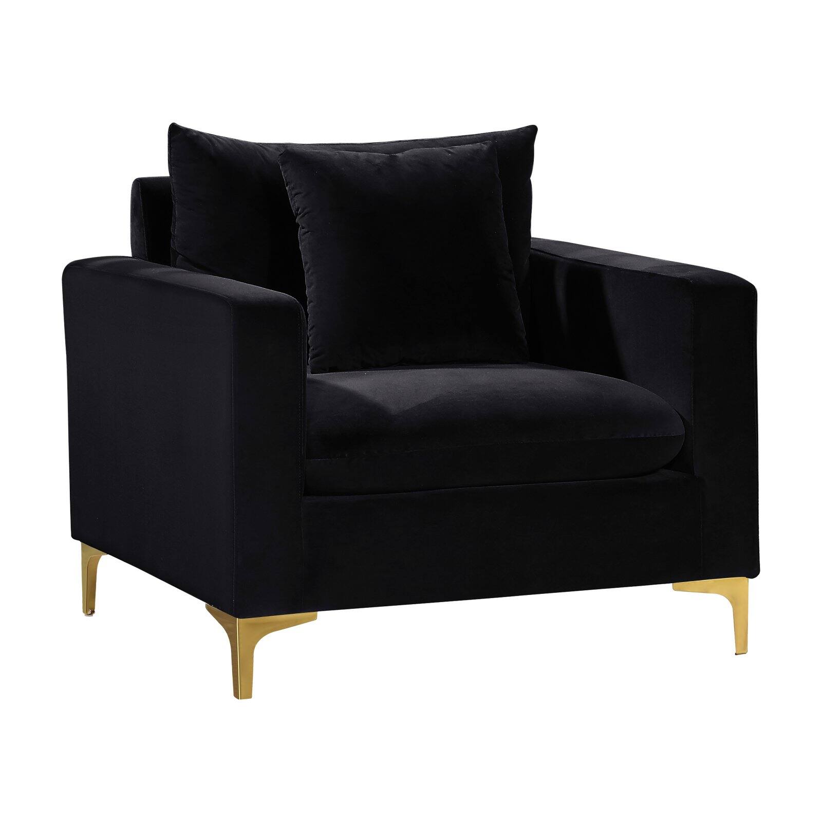 Meridian Furniture Naomi Velvet Accent Chair in Black