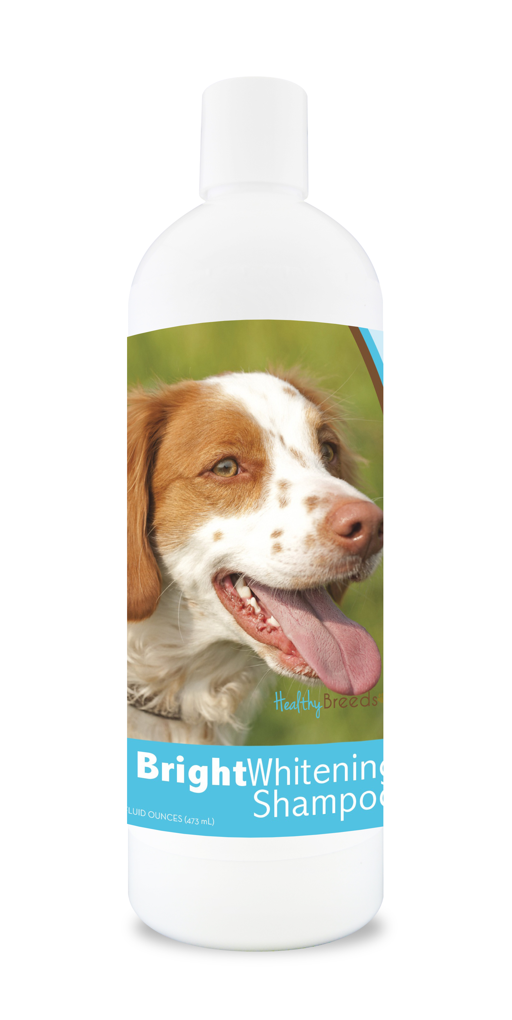 Healthy Breeds 840235103240 12 oz Brittany Bright Whitening Shampoo