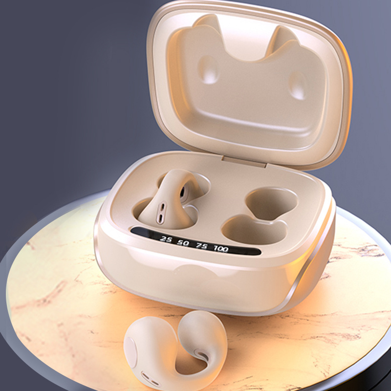 Premium True Wireless Earphones - Enjoy High-End Resonance & Comfort During Sports & Running!