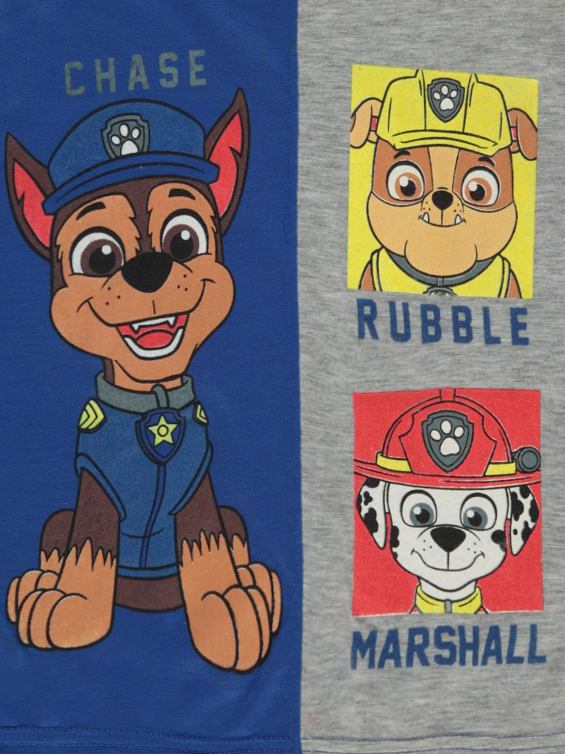 Paw Patrol Boys' 2-Piece Joggers Set Outfit - royal/gray, 4t (Toddler)