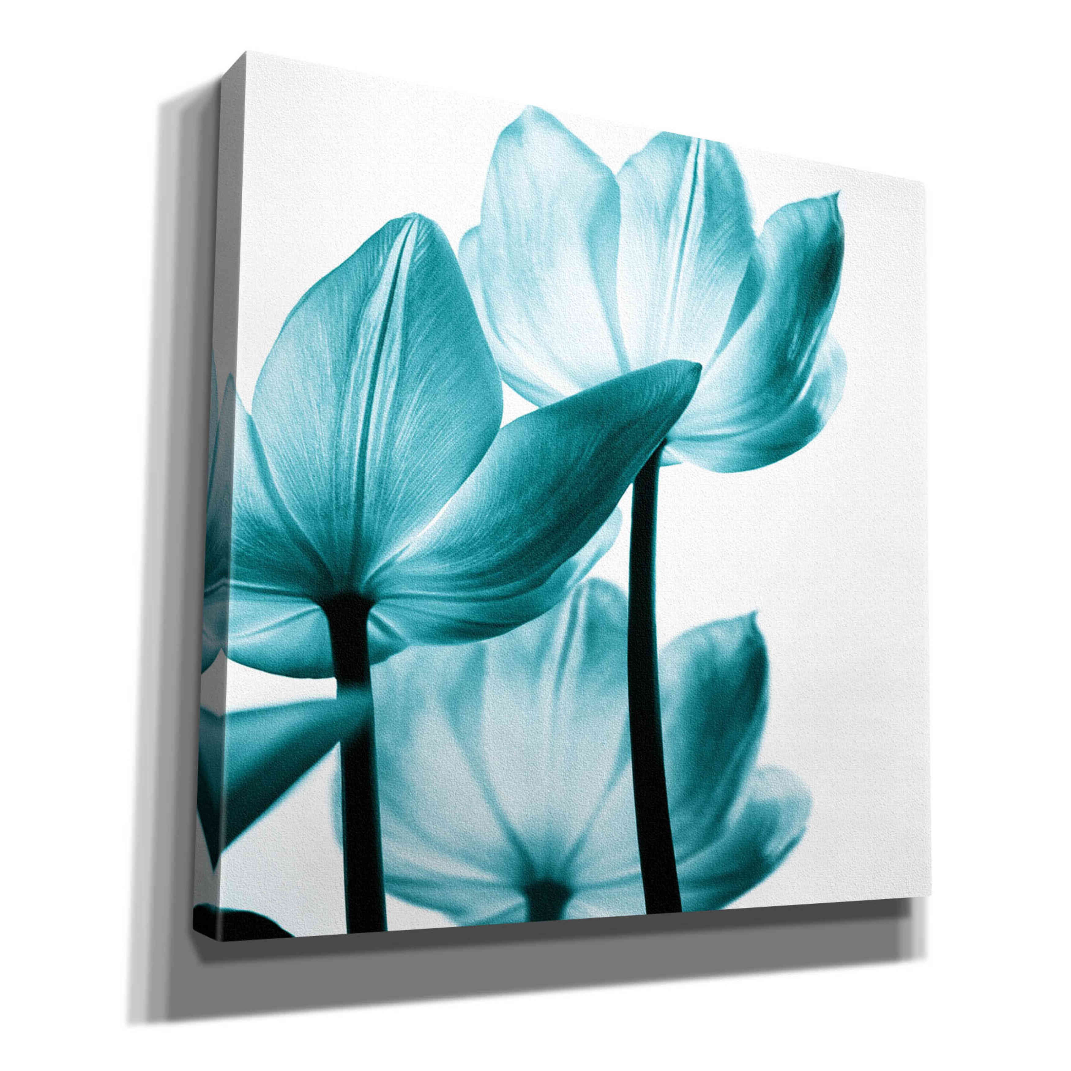Epic Graffiti 'Translucent Tulips III Teal' by Debra Van Swearingen, Canvas Wall Art, 12