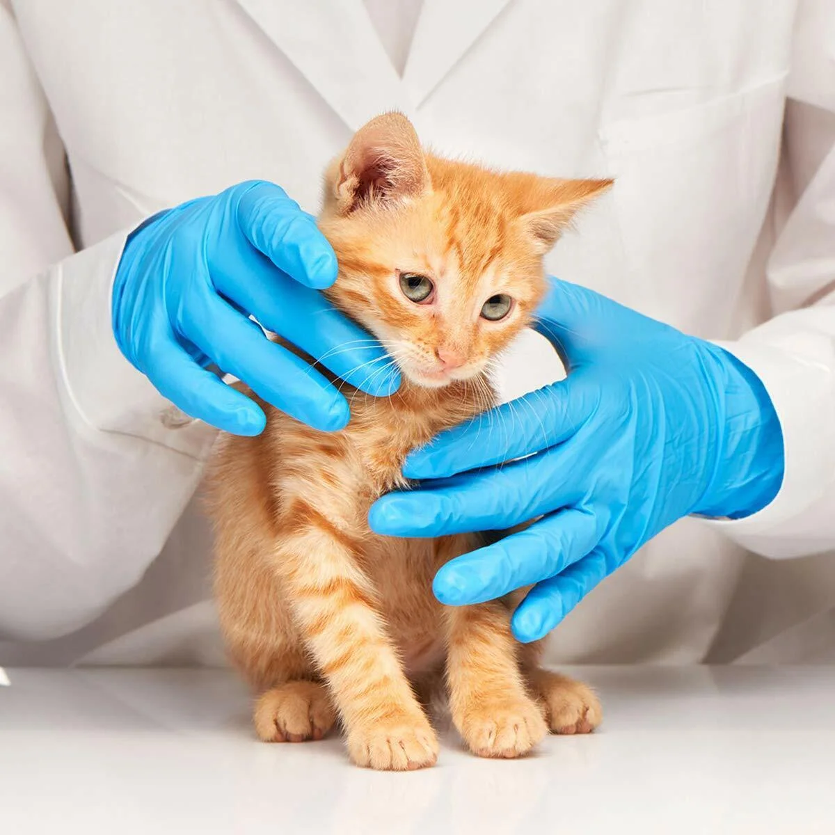 BASIC Disposable Nitrile Exam Gloves, Powder Latex Free Gloves, Blue Extra Large 1000 Count