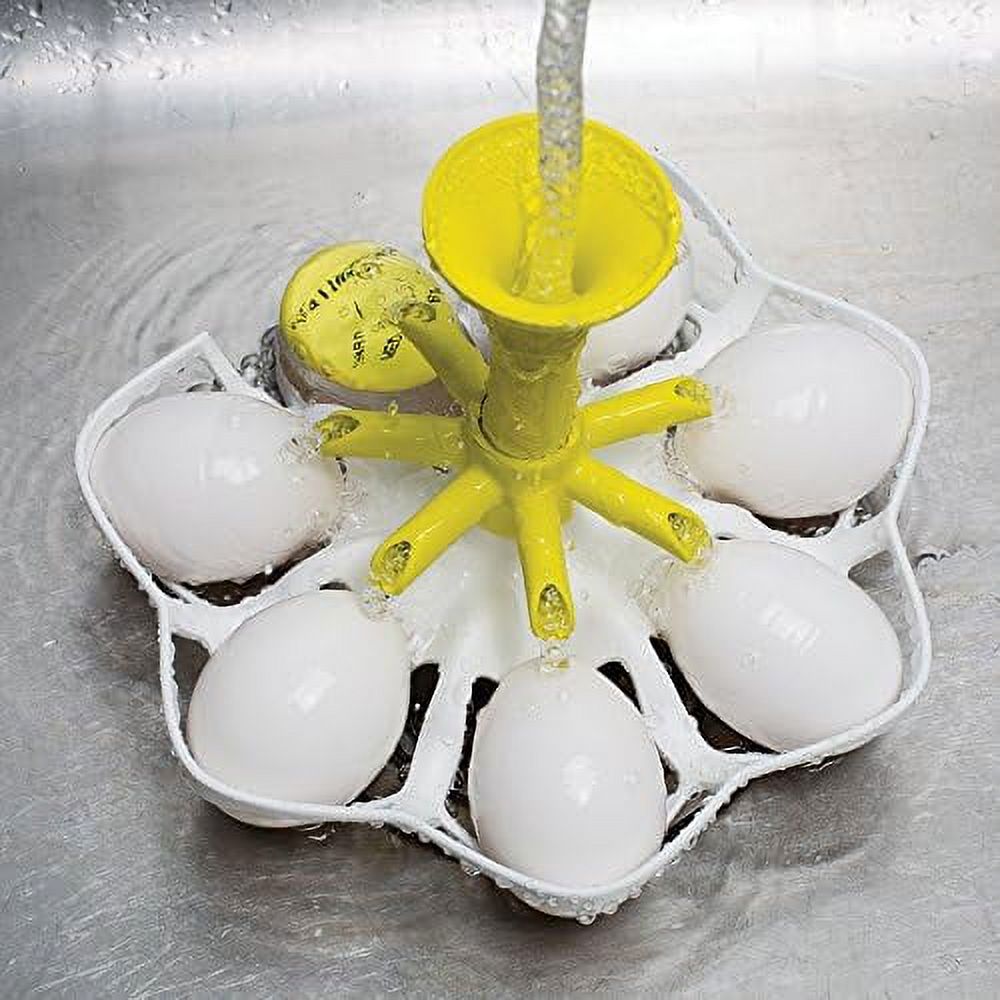 Exact Egg Boiler, White/Yellow, One Size