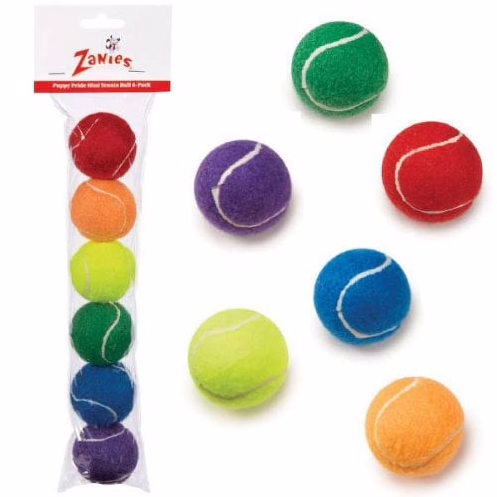 Puppy Pride Mini Tennis Balls Rainbow Colorful 6 Pack Gift Set 2