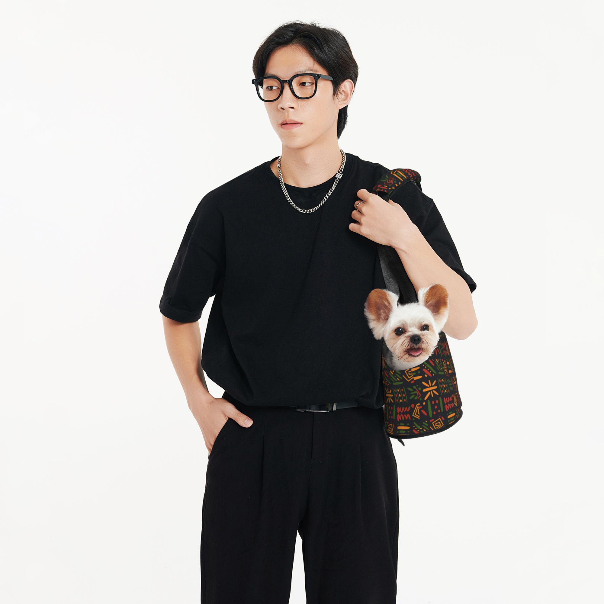 TEQUAN Foldable Dog Purse Carrier, Collapsible Ethnic Style Aztec Lines Prints Pet Travel Tote Bag for Small Cat Puppy, Waterproof Dog Soft-Sided Carriers