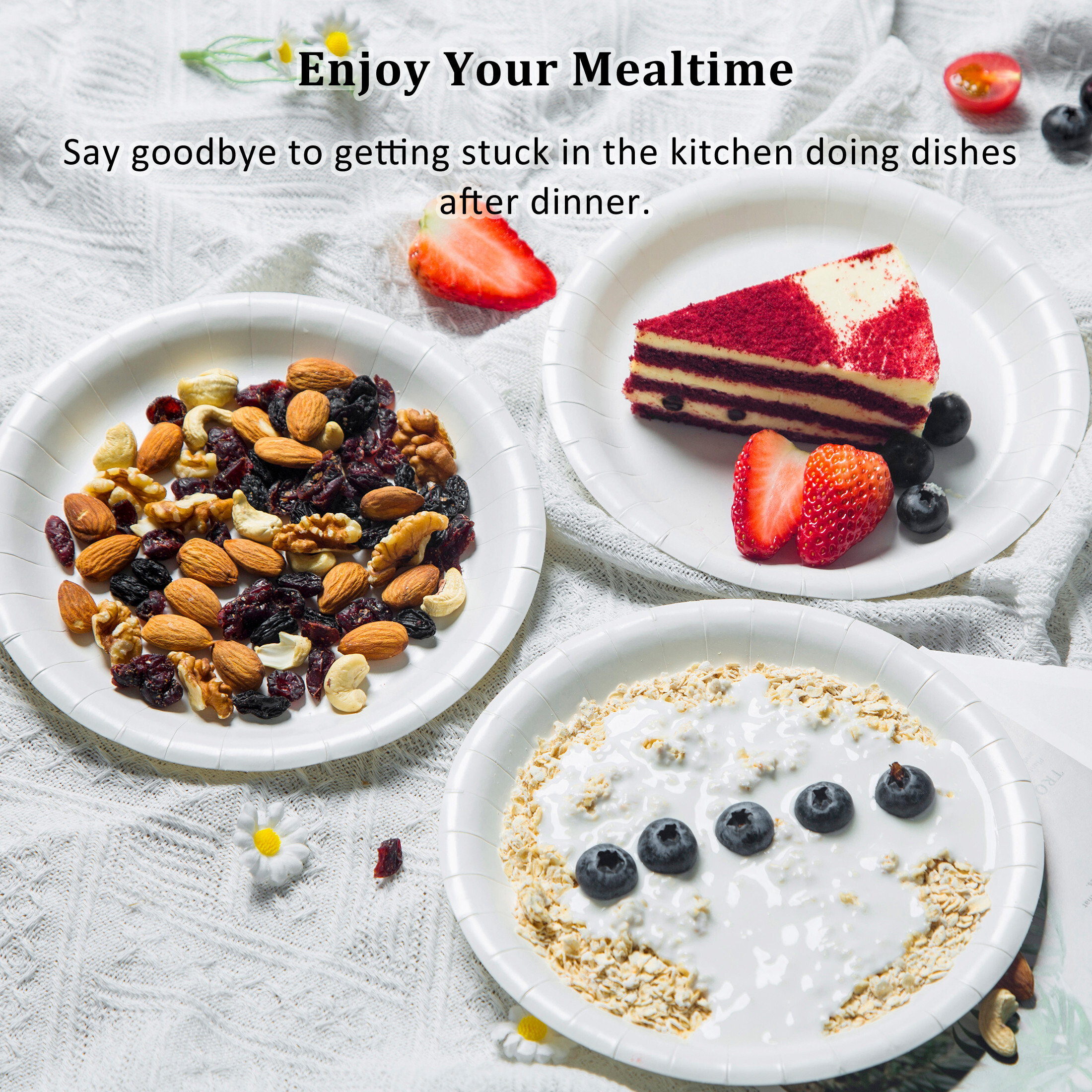 Ecorigin 10 Inch Paper Plates, Dinner Size Coated Plates, Everyday Use Plates, Household Disposable Plates, White Round Plates Bulk, 210 Count