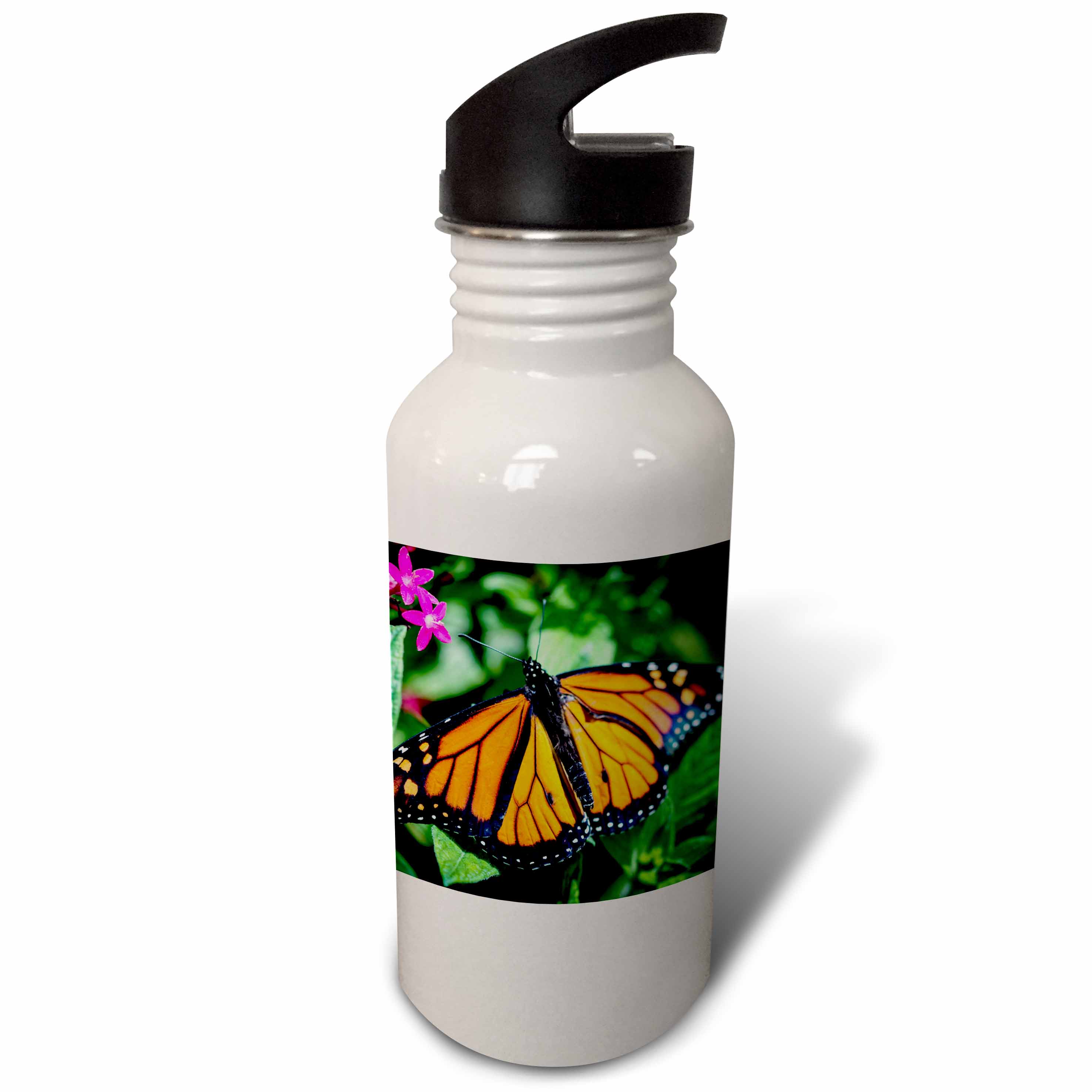 A colorful Monarch Danaus Plexippus butterfly. 21 oz Sports Water Bottle wb-211606-1