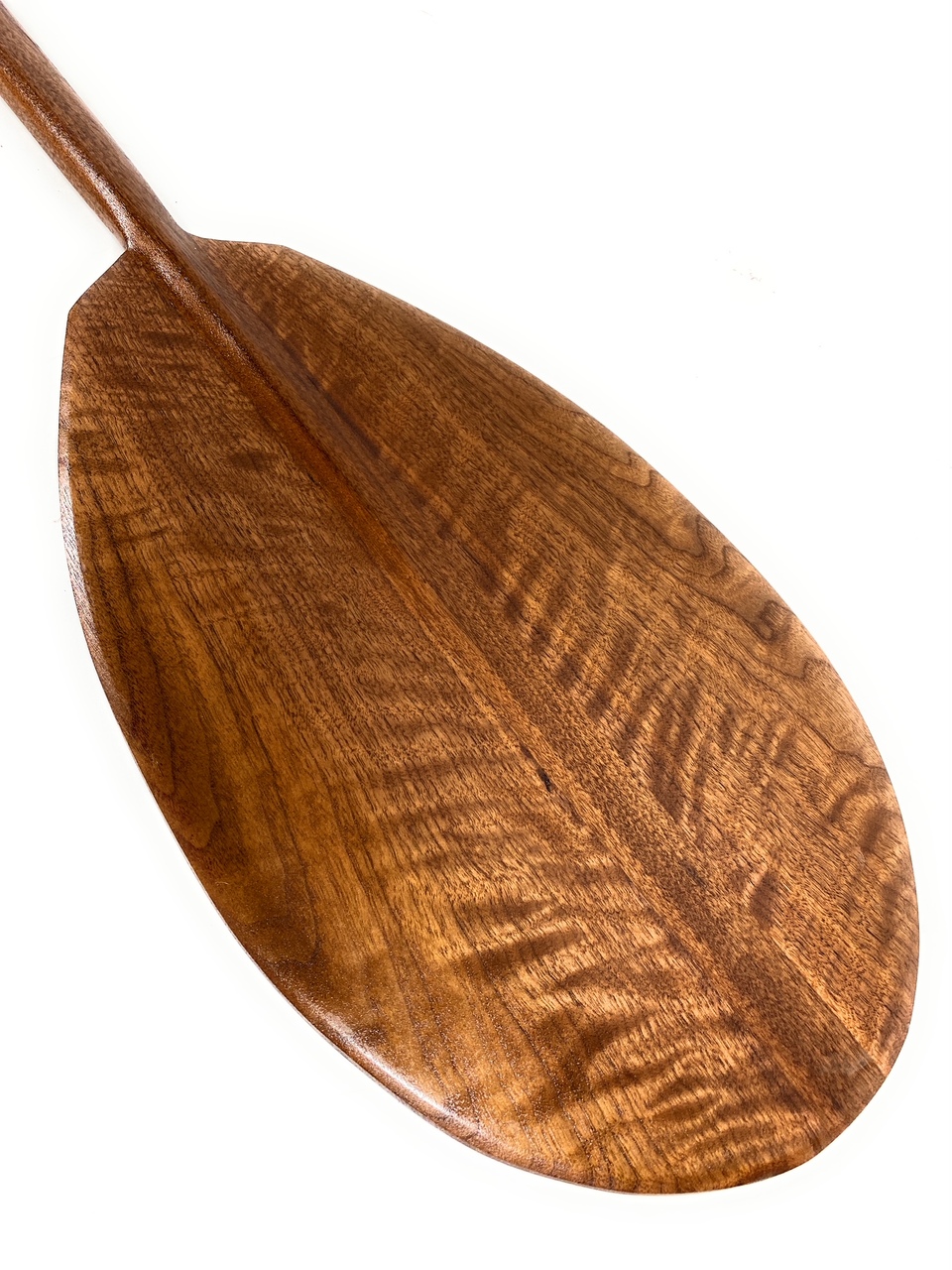Premium Black Walnut Tiger Curls Outrigger Paddle 50