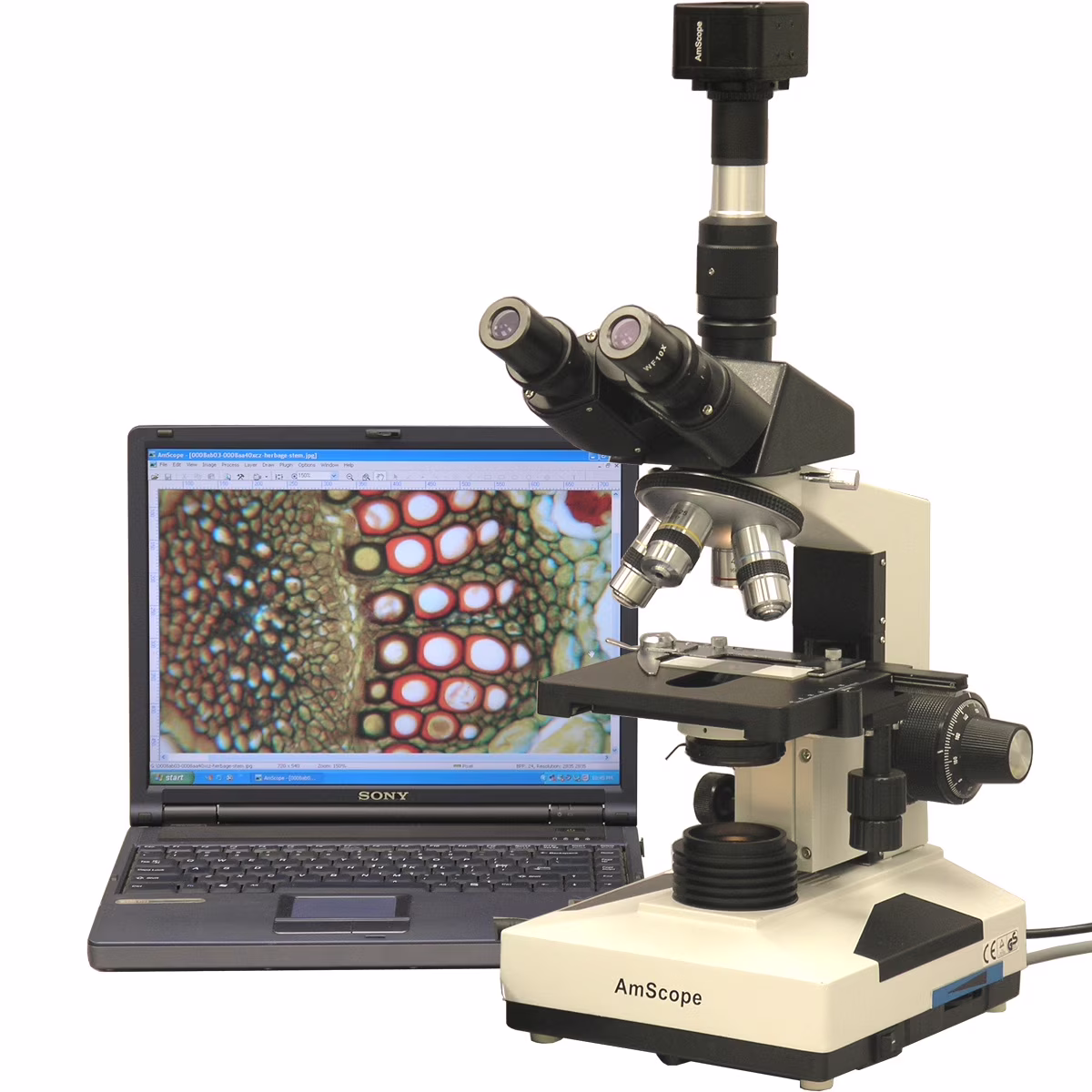 AmScope 40X-2000X Lab Clinic Veterinary Trinocular Microscope with 10MP Camera New