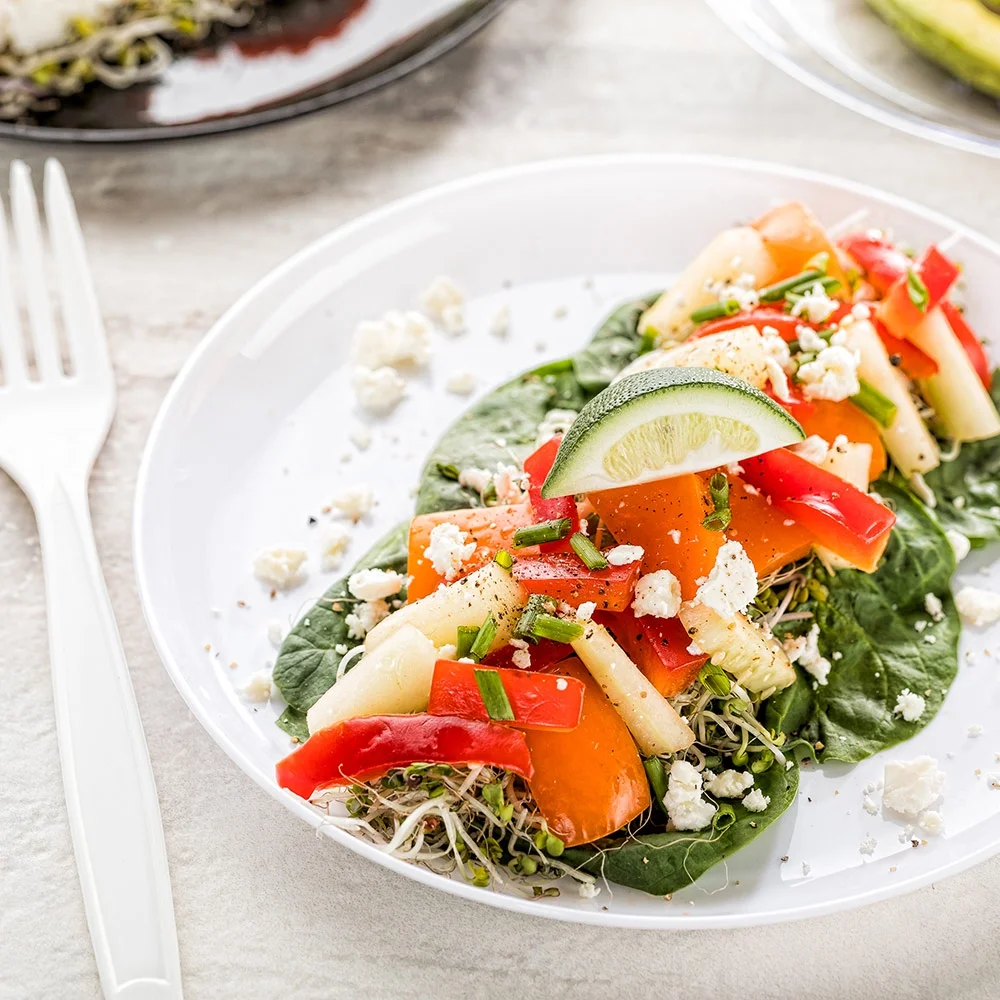 Round White Plastic Medium Elegant Plate - 7