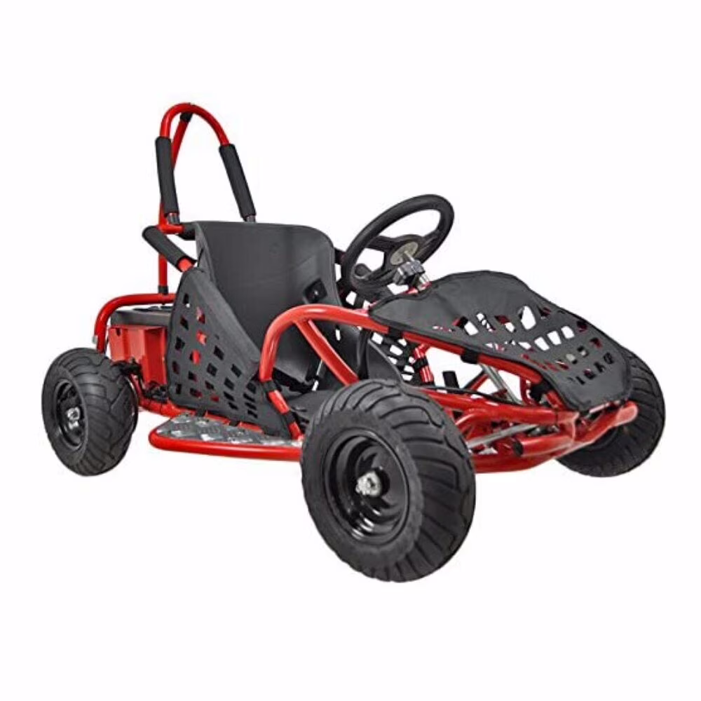 Electric Go Kart, 1000W 48V Powered Ride On Toy, Ride On Car for Boys and girls