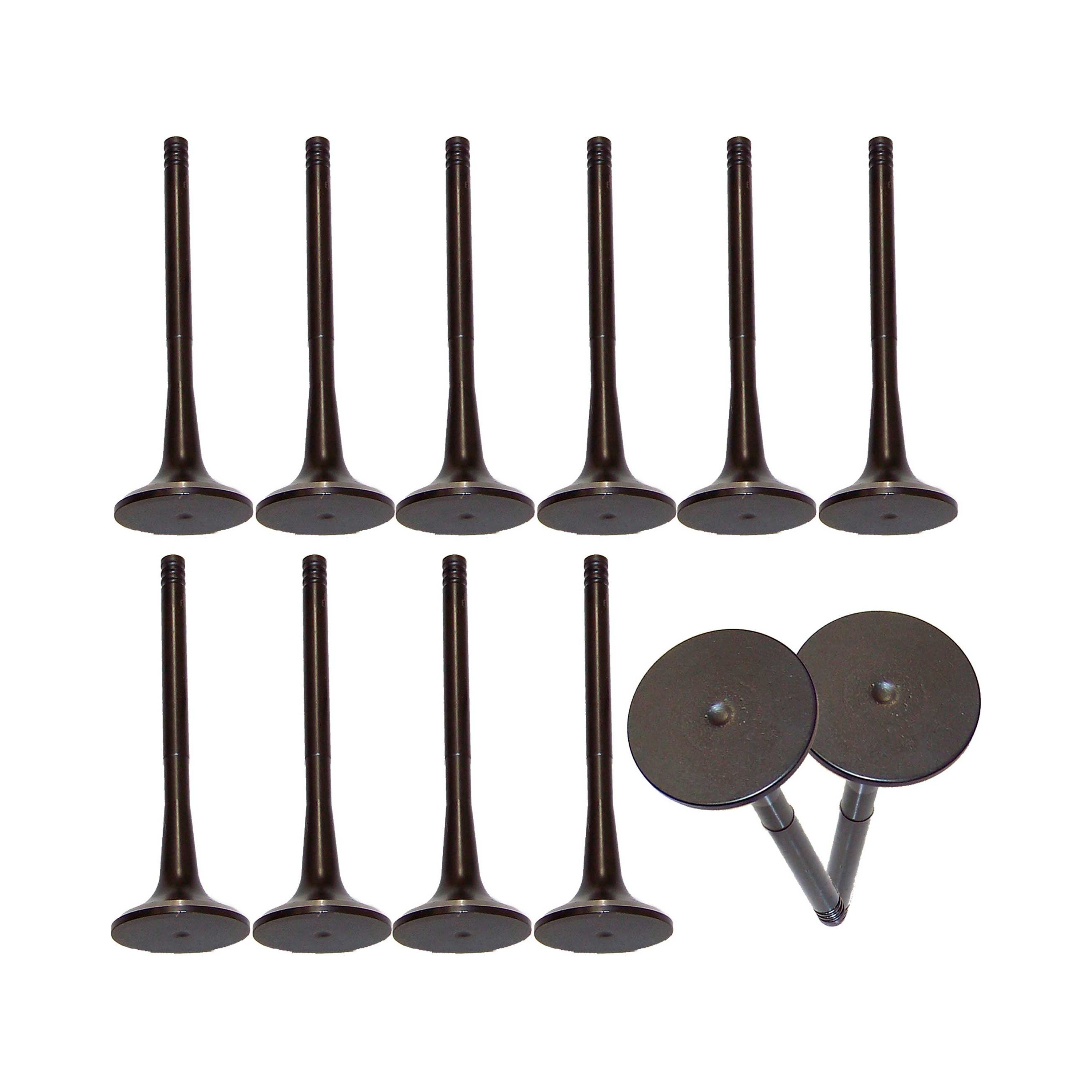 DNJ VK12815 Exhaust Intake Valve Kit Fits Cars & Trucks 92-02 Volkswagen Corrado V6 2.8L SOHC 12V EV815 X6 IV815 X6 Fits select: 1994-2002 VOLKSWAGEN JETTA, 2001-2002 VOLKSWAGEN GOLF