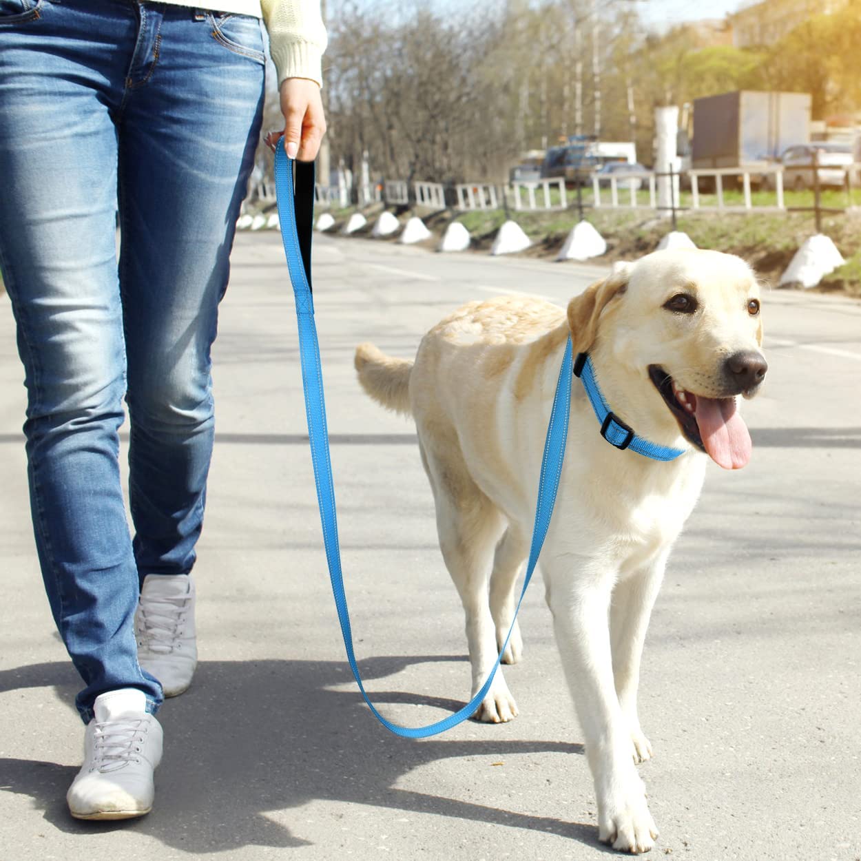 Dog Collars and 5FT Double-Sided Reflective Dogs Leash Set, Nylon Material for Walking and Traning Suit for Medium & Large Dogs, Aqua Blue