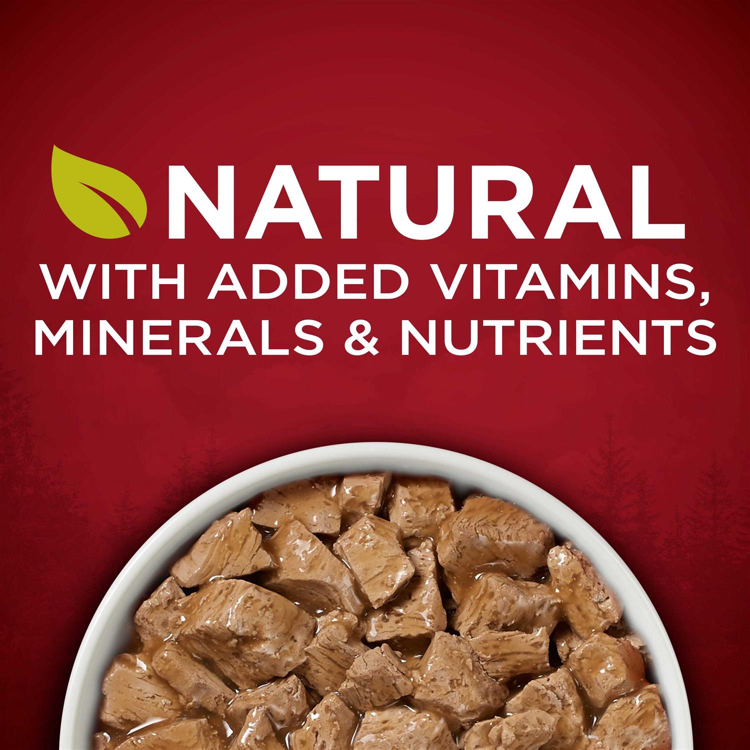 Purina ONE Smartblend Real Turkey & Venison True Instinct Wet Dog Food Can - Pet Supplies online store