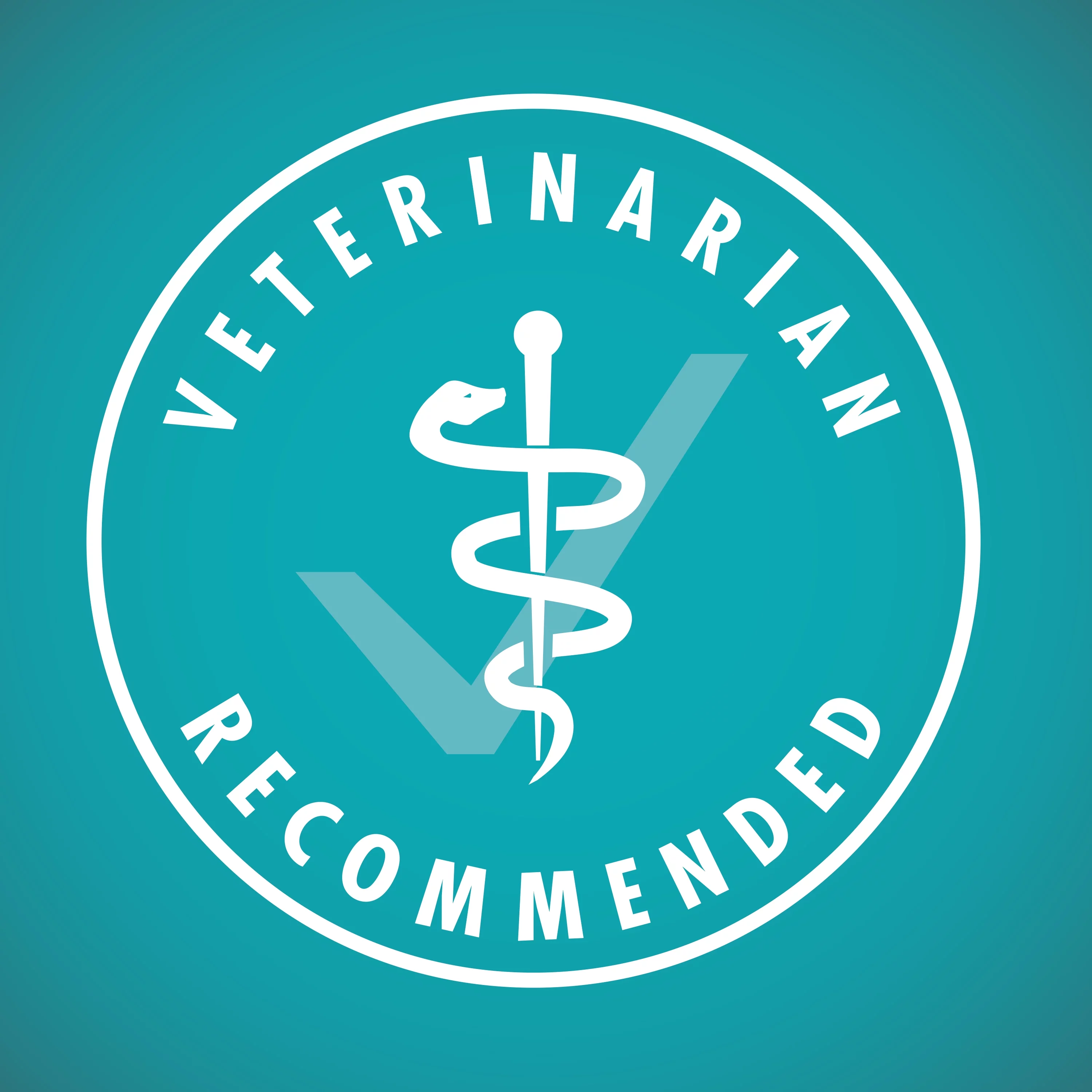 Purina ONE Grain Free Natural Pate Wet Cat Food Variety Pack Beef Chicken & Ocean Whitefish - (2 Packs of 12) 3 oz. Pull-Top Cans