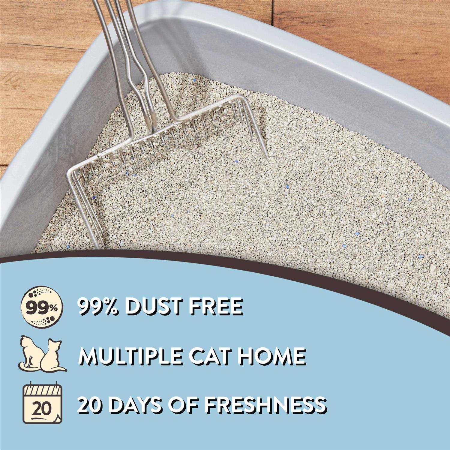 Special Kitty Odor Control Tight Clumping Cat Litter - Pet Supplies online store