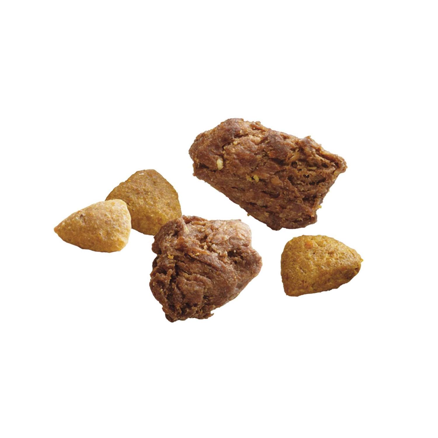 Purina ONE Real Turkey & Venison True Instinct Dry Dog Food - Pet Supplies online store