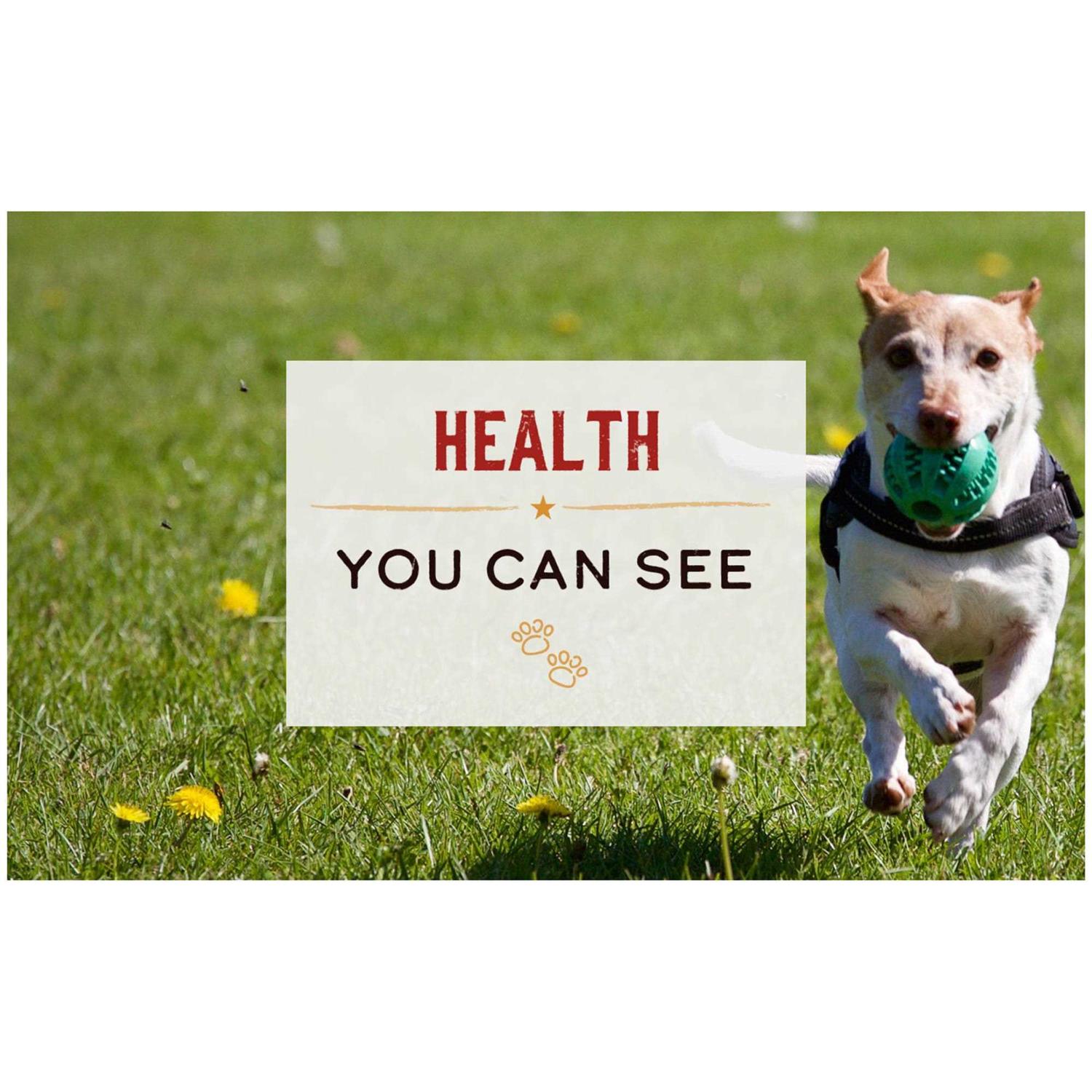 Merrick Limited Ingredient Diet Grain Free Real Duck Pate Canned Cat Food - Pet Supplies online store