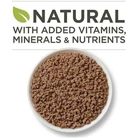 Purina ONE Indoor Advantage High Protein Ocean Whitefish & Rice Wet Cat Food - Pet Supplies online store