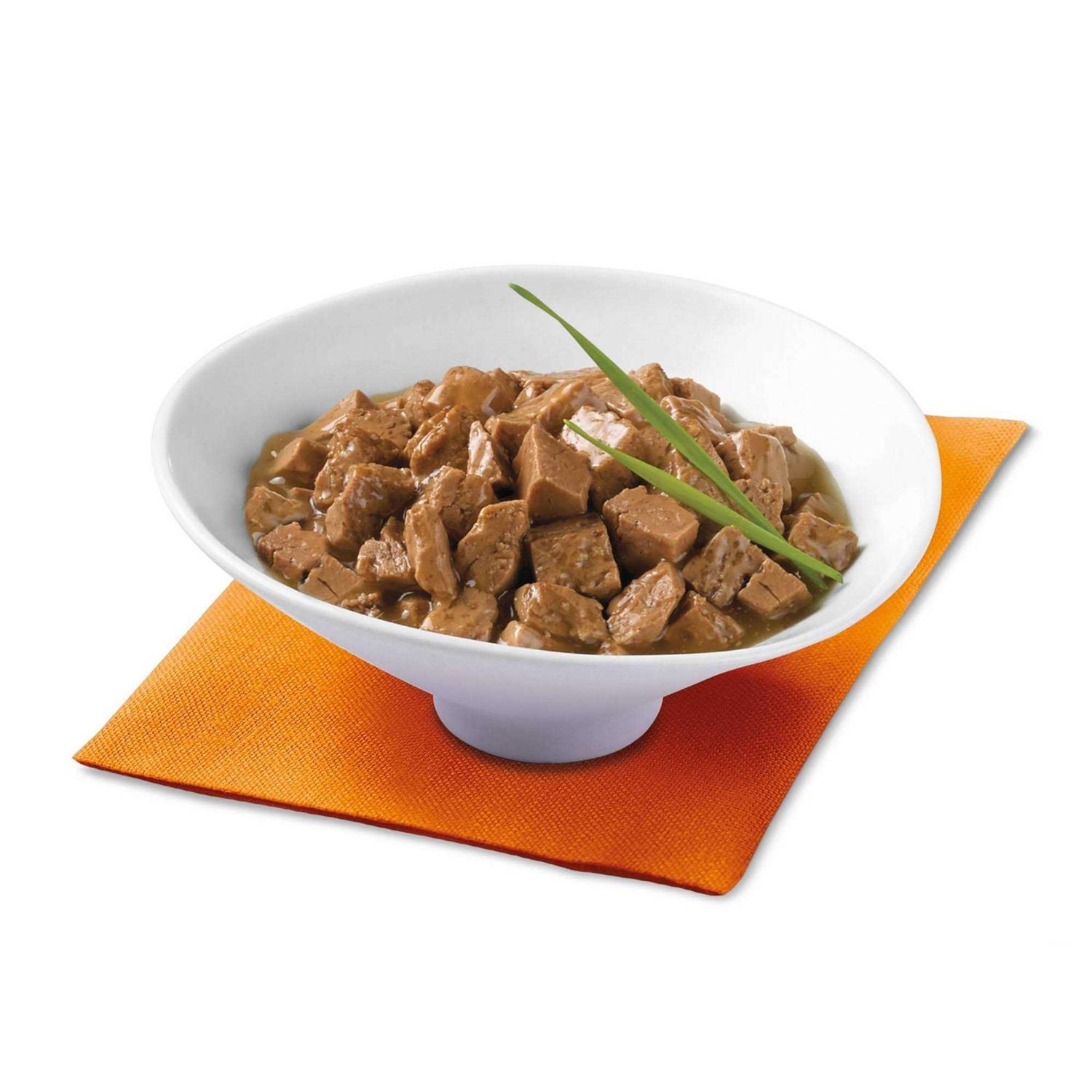 Purina Fancy Feast Gravy Wet Cat Food Variety Pack Poultry Lovers Sliced Collection - Pet Supplies online store