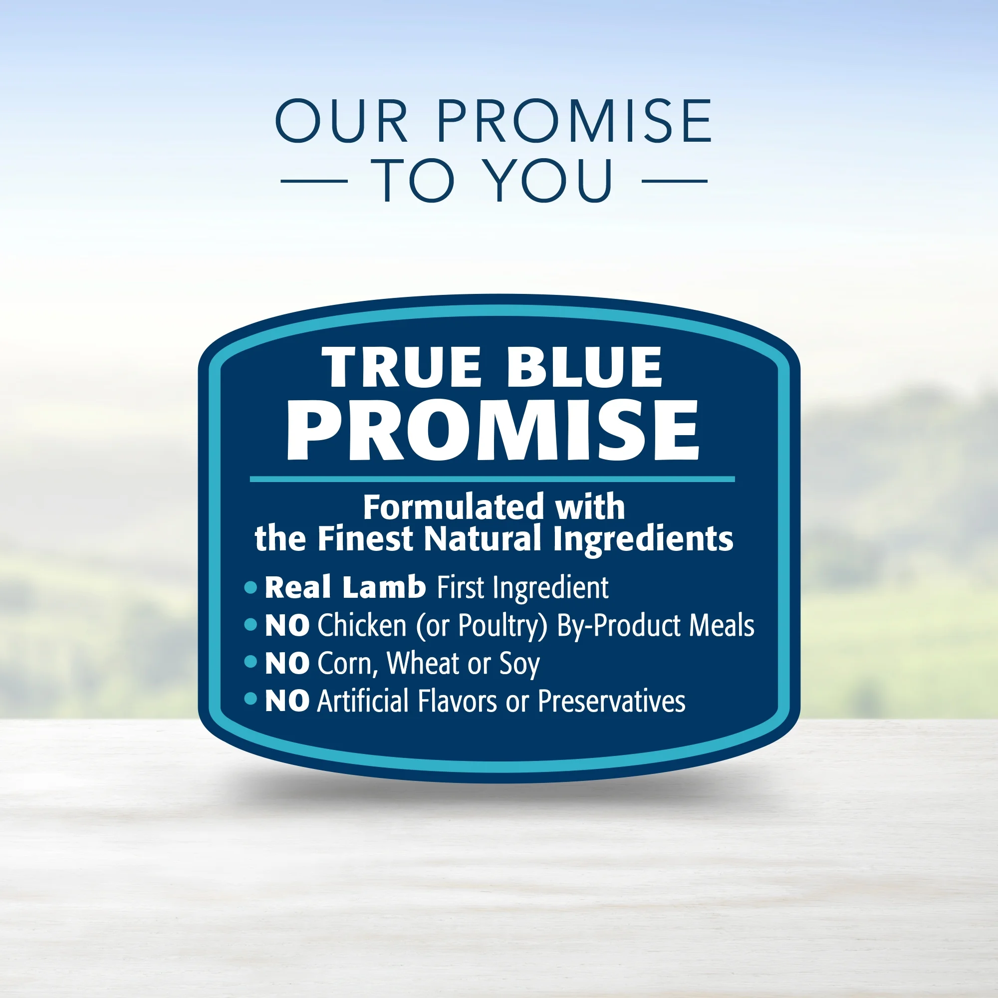 Blue Buffalo Life Protection Formula Small Breed Adult Dry Dog Food, Lamb & Brown Rice, 5 lbs.