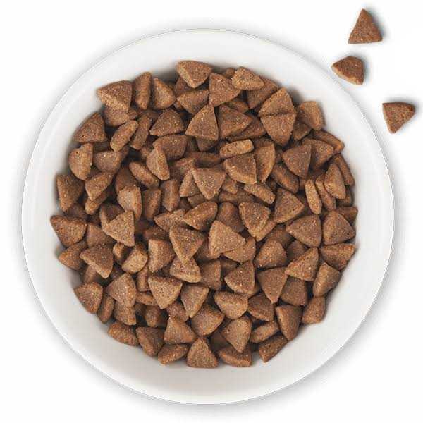 Tiki Cat Chicken & Turkey Born Carnivore Indoor Health Cat Food - Pet Supplies online store