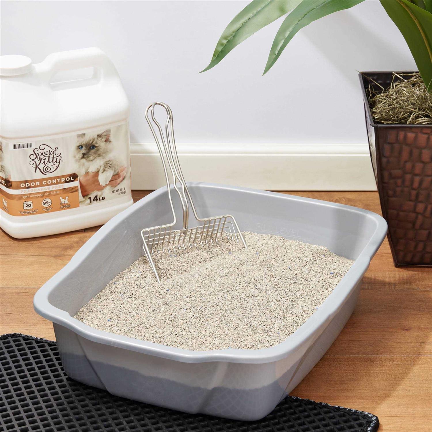 Special Kitty Odor Control Tight Clumping Cat Litter - Pet Supplies online store