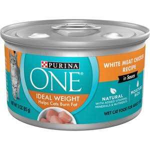 Purina ONE Indoor Advantage High Protein Ocean Whitefish & Rice Wet Cat Food - Pet Supplies online store