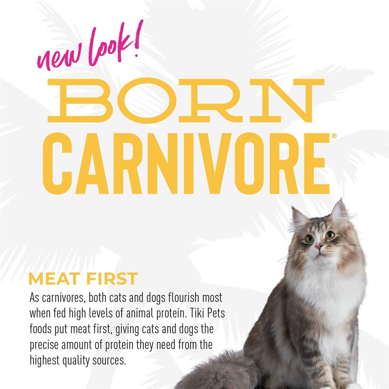 Tiki Cat Chicken & Turkey Born Carnivore Indoor Health Cat Food - Pet Supplies online store